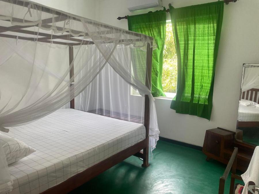 Hostel Why Not Backpackers Mirissa Exterior foto